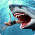 Shark Attack Wild Simulator icon