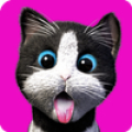 Daily Kitten Mod APK icon