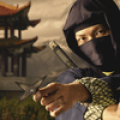 Ninja assassin's Fighter‏ icon