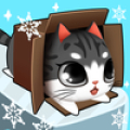 Kitty in the Box icon