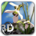 Nature Live❁ Spring Flowers XL‏ icon