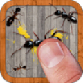 Ant Smasher Mod APK icon