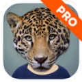 Animal Face Full Mod APK icon
