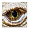 Komodo 10 Mod APK icon