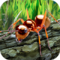 Ants Survival Simulator - go t icon