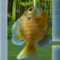 Fishing 3D Mod APK icon