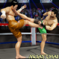 Martial Arts Clash Combate: Pro Jogos de icon