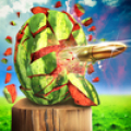 Watermelon Shooting 3D Mod APK icon
