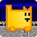 Box Cat Bash icon