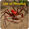 Life of Phrynus Mod APK icon