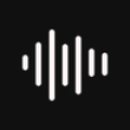 Voice Recorder Pro Mod APK icon