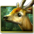 Forest HD Mod APK icon