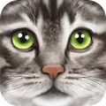 Ultimate Cat Simulator Mod APK icon