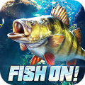 Fish On! icon