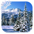 Winter Pro Live Wallpaper Mod APK icon