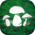 Real Mushroom Hunting Simulato Mod APK icon