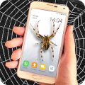 Spider filter prank Mod APK icon