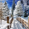 Winter Landscapes Wallpaper Mod APK icon