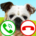 fake call dog game icon