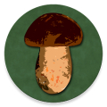 Book of Mushrooms Mod APK icon