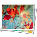 Image Gallery Mod APK icon