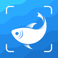 Picture Fish - Fish Identifier Mod APK icon