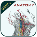 Gray's Anatomy - Anatomy Atlas icon