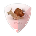 VPN Over DNS  Tunnel : SlowDNS Mod APK icon