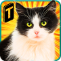 Street Cat Sim 2016 Mod APK 1.1 - Baixar Street Cat Sim 2016 Mod para android com [Dinheiro Ilimitado]