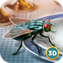 Insect Fly Simulator 3D Mod APK 1.0.0 - Baixar Insect Fly Simulator 3D Mod para android com [Dinheiro Ilimitado]