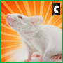 City Mouse Simulator Mod APK 1.2 - Baixar City Mouse Simulator Mod para android com [Dinheiro Ilimitado]