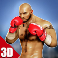 World Boxing 3D - Real Punch : Boxing Games APK Mod APK icon