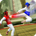 Taekwondo Fighting Mod APK icon