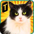 Street Cat Sim 2016 Mod APK icon