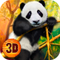 Panda Simulator 3D APK icon