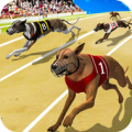 Dog Crazy Race Simulator Mod APK icon