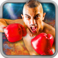 Play Boxing Games 2016 Mod APK icon