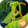 Mantis Insect Life Simulator Mod APK 1.0.0 - Baixar Mantis Insect Life Simulator Mod para android com [Dinheiro Ilimitad