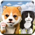 Pet Cat & Dog Simulator 3D Mod APK icon
