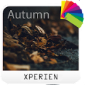 Theme XPERIEN™ - Autumn Mod APK icon